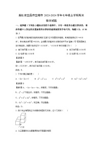 湖北省宜昌市宜都市2023-2024学年七年级上学期期末数学试卷（解析版）