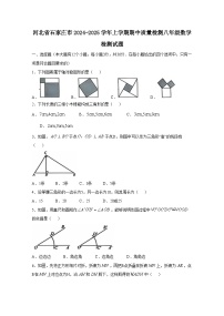 河北省石家庄市2024-2025学年上册期中质量检测八年级数学检测试题（附答案）