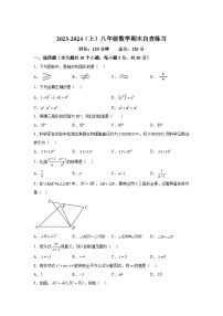 东莞市长安实验中学2023-2024学年八年级上学期期末考试数学试卷