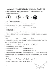 河北省邯郸市武安市2023-2024学年八年级上学期期末考试数学试卷(含答案)