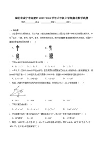 湖北省咸宁市赤壁市2023-2024学年八年级上学期期末考试数学试卷(含答案)