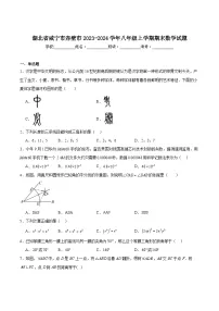 湖北省咸宁市赤壁市2023-2024学年八年级上学期期末考试数学试卷(含答案)