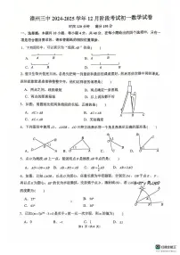 福建省漳州市第三中学2024-2025学年七年级上学期12月月考数学试题
