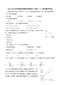 陕西省渭南市临渭区2023-2024学年八年级上学期期末考试数学试卷(含解析)