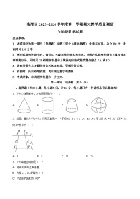 陕西省渭南市临渭区2024届九年级上学期期末考试数学试卷(含解析)