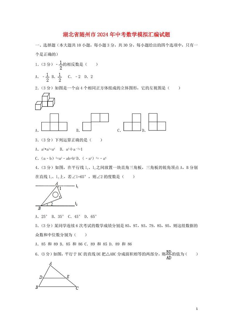 湖北省随州市2024年中考数学模拟试题(含解析)第1页