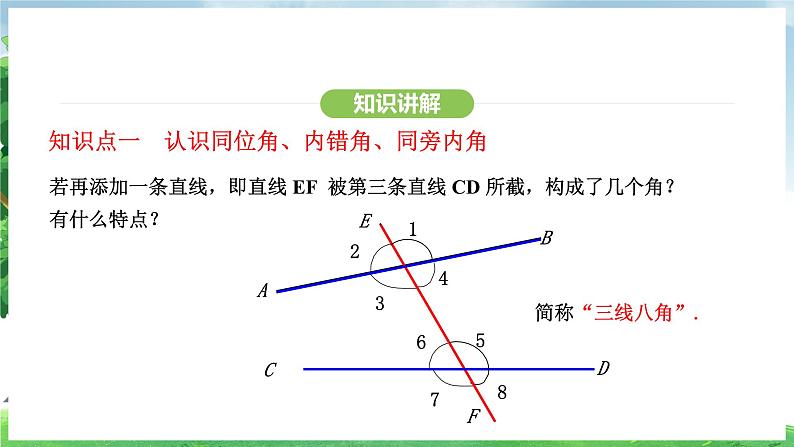 7.1.3两条直线被第三条直线所截(课件)2024—2025学年人教版(2024)数学七年级下册第6页