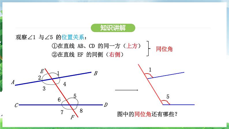 7.1.3两条直线被第三条直线所截(课件)2024—2025学年人教版(2024)数学七年级下册第7页