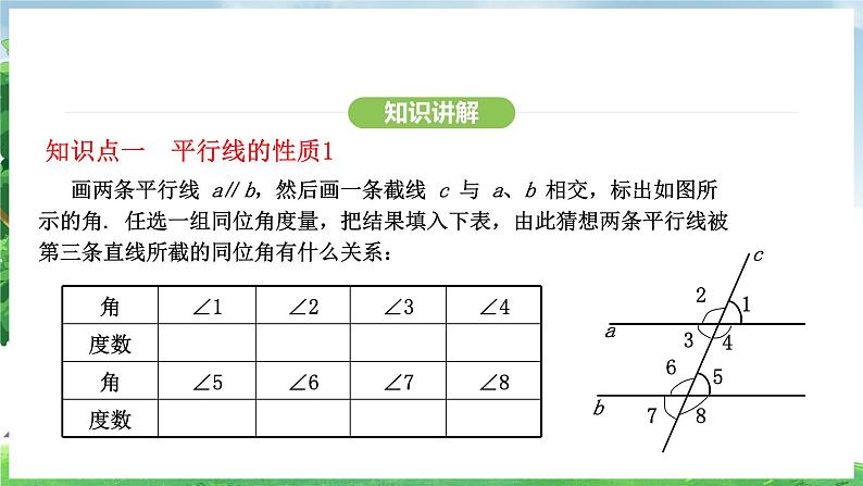 7.2.3 第1课时 平行线的性质(课件)2024—2025学年人教版(2024)数学七年级下册第5页