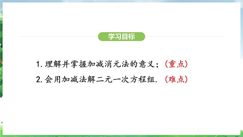 10.2.2 加减消元法(课件)2024—2025学年人教版(2024)数学七年级下册第3页