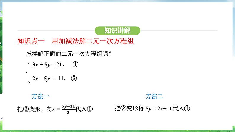 10.2.2 加减消元法(课件)2024—2025学年人教版(2024)数学七年级下册第5页
