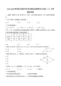 四川省泸州市龙马潭区两校联考2025届九年级上学期开学考试数学试卷(含答案)