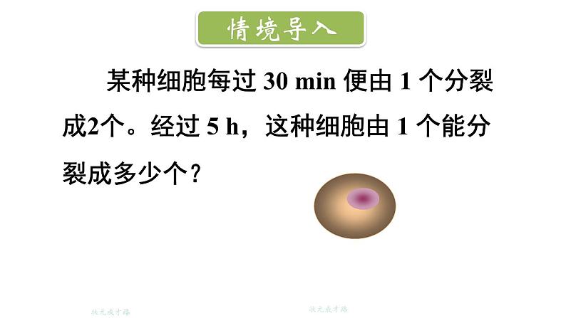 初中数学新北师大版七年级上册2.4第1课时 有理数的乘方教学课件2024秋第2页