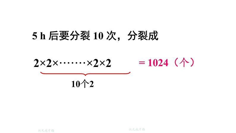 初中数学新北师大版七年级上册2.4第1课时 有理数的乘方教学课件2024秋第4页