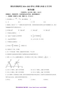 2024～2025学年山东省青岛市西海岸区七年级(上)12月月考数学试卷(含答案)