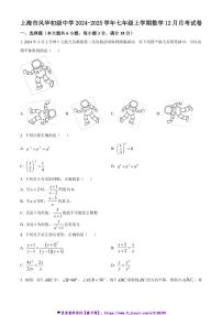 2024～2025学年上海市风华初级中学七年级(上)数学12月月考试卷(含答案)