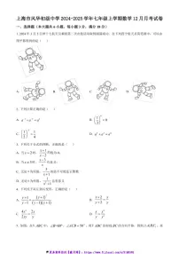 2024～2025学年上海市风华初级中学七年级(上)数学12月月考试卷(含答案)