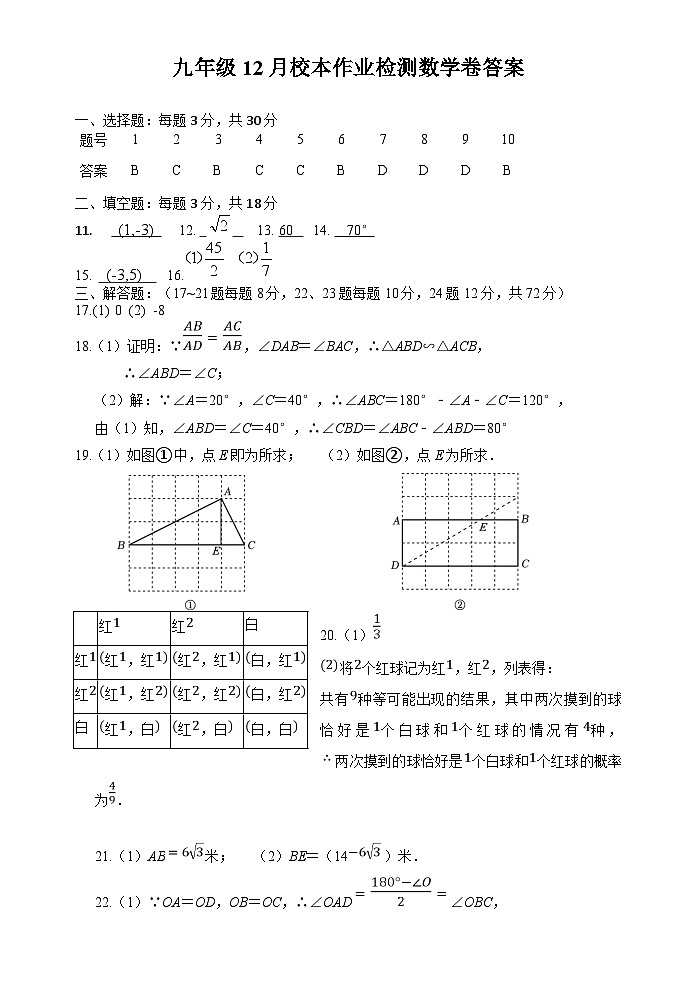 九年级12月校本作业检测数学 九年级12月校本作业检测数学卷答案第1页
