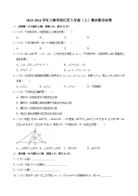 2023-2024学年上海市闵行区八年级（上）期末数学试卷