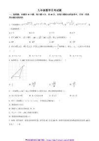 2024~2025学年山东省菏泽市牡丹区第二十二初级中学九年级(上)12月月考数学试卷(含简要答案)