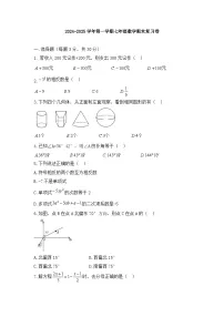 2024-2025学年人教版数学七年级上册期末复习卷(含答案)