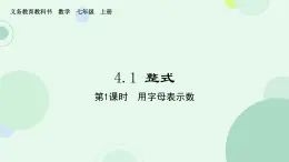 4.1整式-课件2024-2025学年人教版数学七年级上册