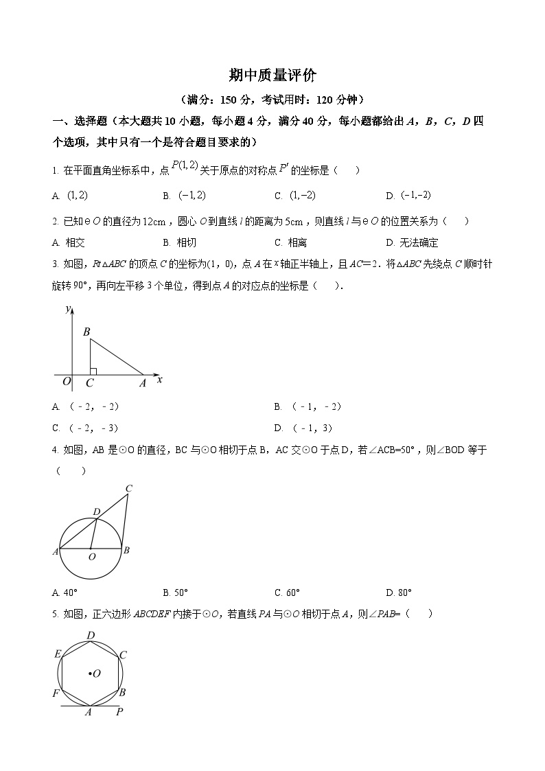 精品解析：期中质量评价2024-2025学年沪科版数学九年级下册（原卷版）-A4