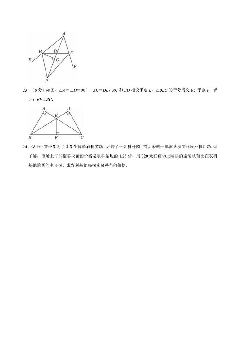 2024~2025学年湘教新版八年级上册数学期末复习试卷(含详解)第3页