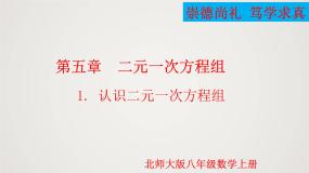 北师大版（2024）八年级上册第五章 二元一次方程组1 认识二元一次方程组教学课件ppt