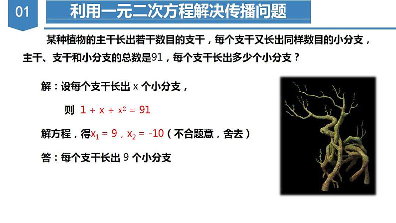 人教版数学九年级上册同步教学课件21.3 实际问题与一元二次方程(传播问题和增长率问题)第8页
