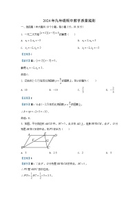 湖南省张家界市桑植县2024-2025学年九年级（上）期中数学试卷（解析版）