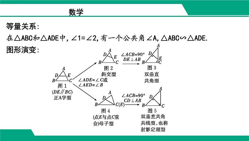 微专题一0一 相似三角形的常考模型课件 2025年中考数学考点探究第3页