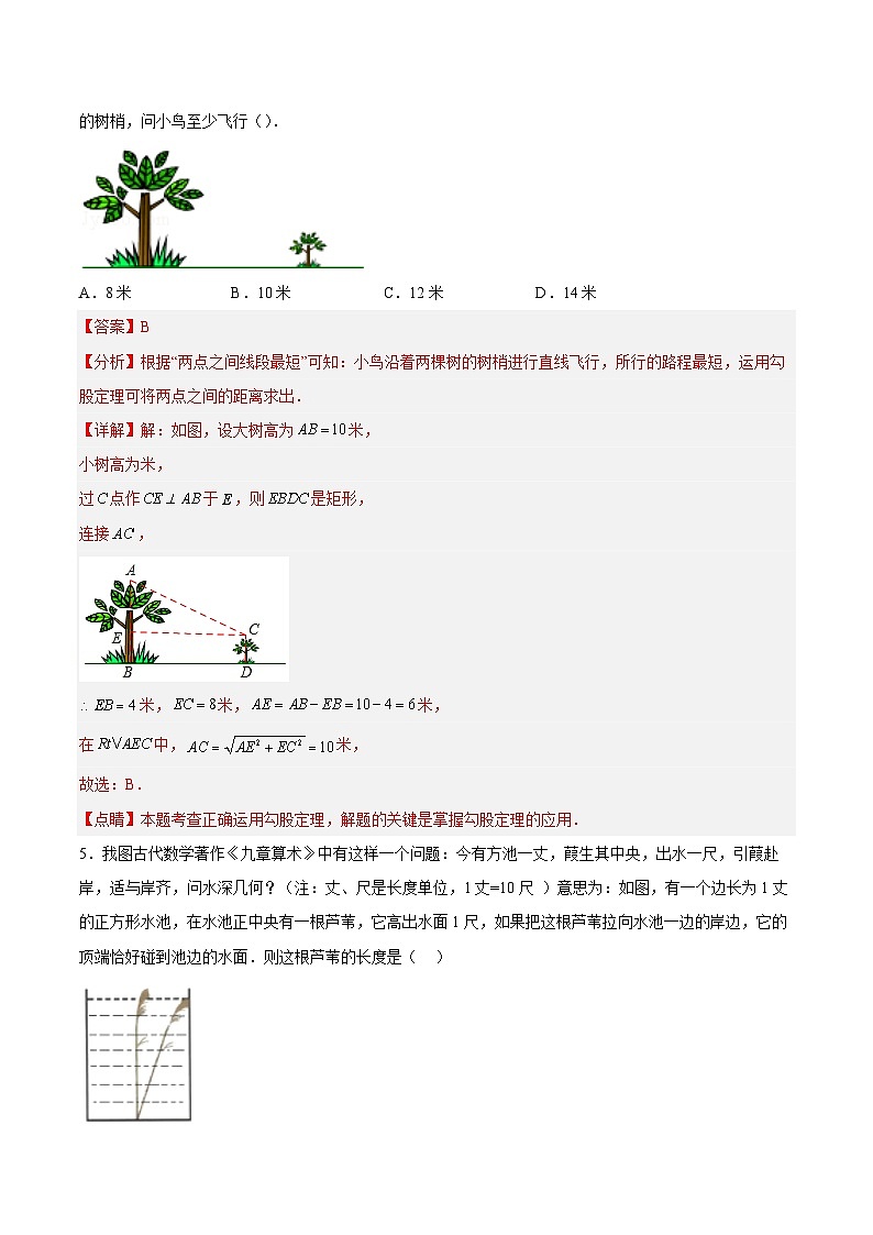 17.1.2 勾股定理在实际生活中的应用 分层作业【解析版】第3页