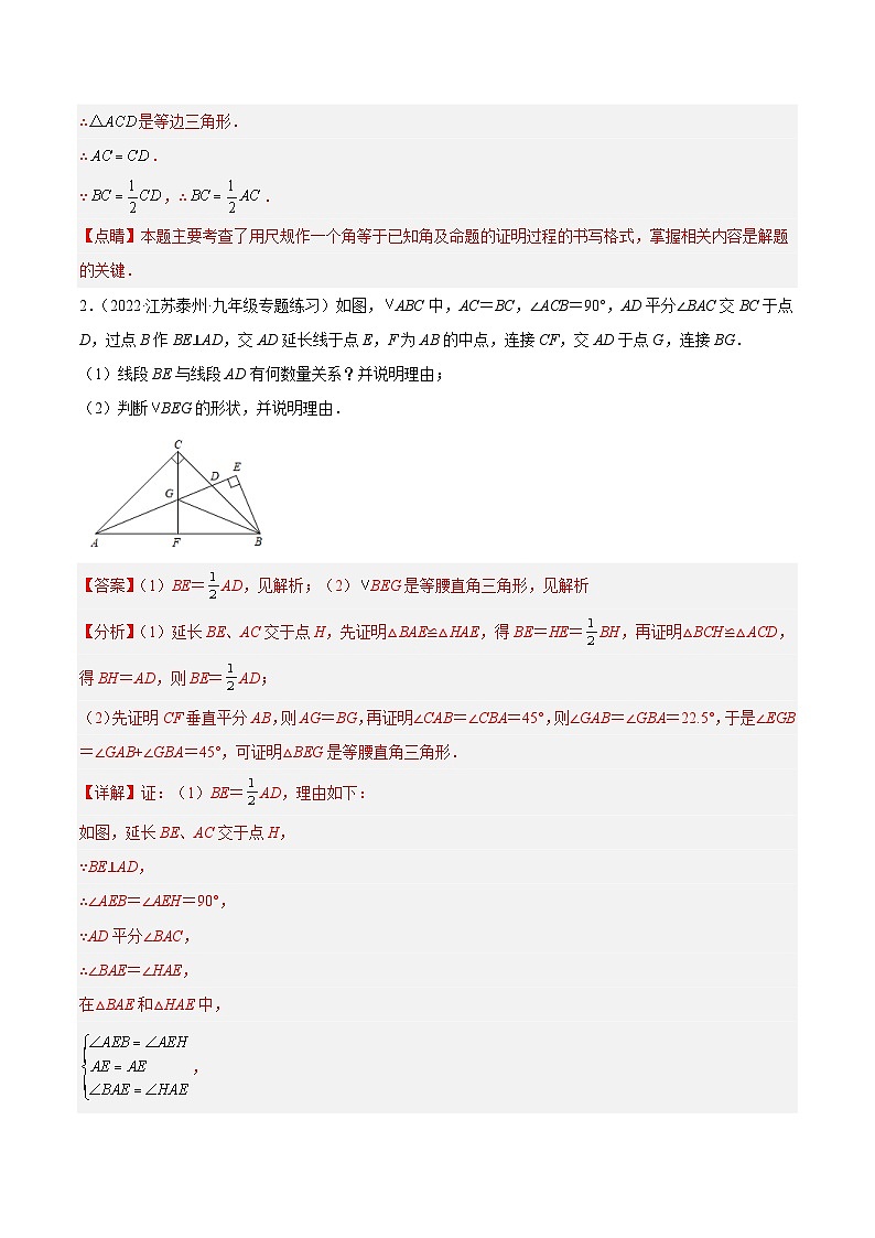 人教版数学八年级上册期末复习专题04 构造三角形全等的方法技巧(解析版)第3页