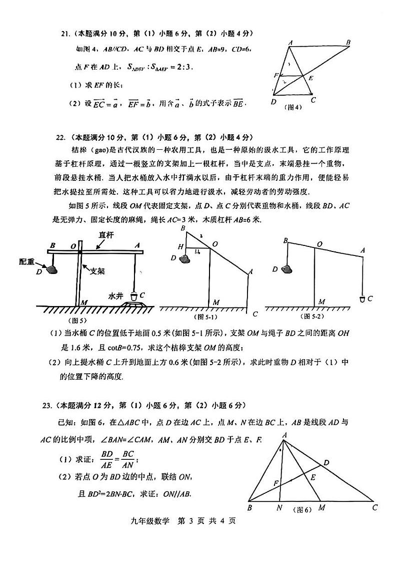 2025届上海市奉贤区初三一模数学试卷和参考答案第3页