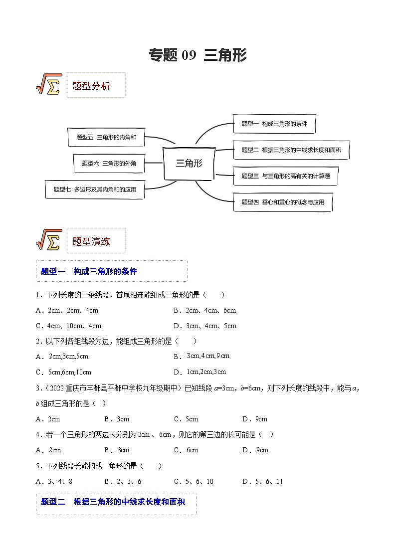 中考數(shù)學(xué)一輪復(fù)習(xí)題型歸納精練專題09 三角形（原卷版）第1頁