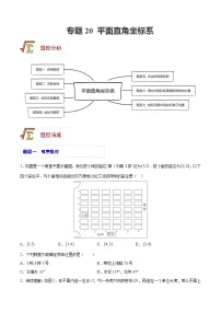 中考数学一轮复习题型归纳精练专题20 平面直角坐标系（2份，原卷版+解析版）