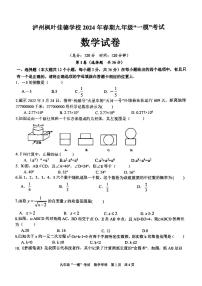 2024年四川省泸州市枫叶佳德学校中考一模数学试题