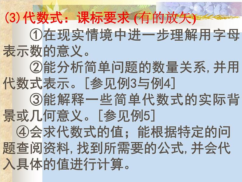 中考复习(代数式)-中考数学三轮冲刺课件第3页