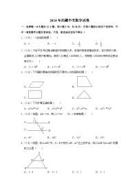 2024年西藏中考数学模拟试题（Word版，含解析）