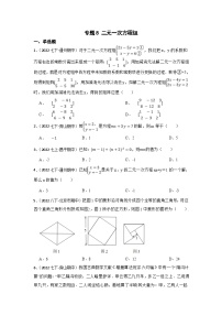 (北京专用)中考数学一轮复习巩固训练专题8 二元一次方程组（含答案解析）