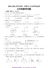 2024～2025学年山东省济宁市金乡县九年级上12月月考数学试卷(含答案)
