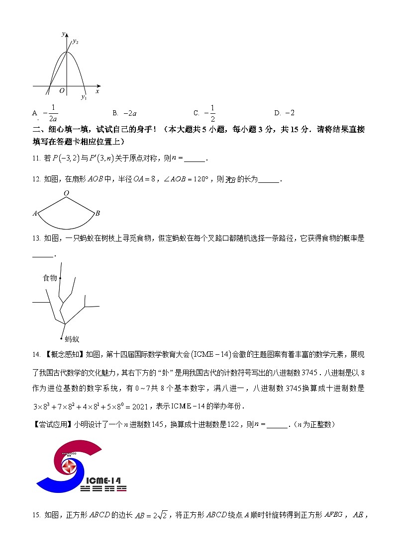 湖北省楚天名初2024-2025学年上学期12月九年级数学试题(word版含答案)第3页