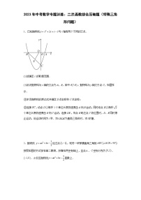中考数学专题训练：二次函数综合压轴题（特殊三角形问题）（含简单答案）