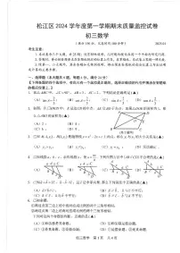 上海市松江区2024—2025学年上学期期末质量监控九年级数学试卷