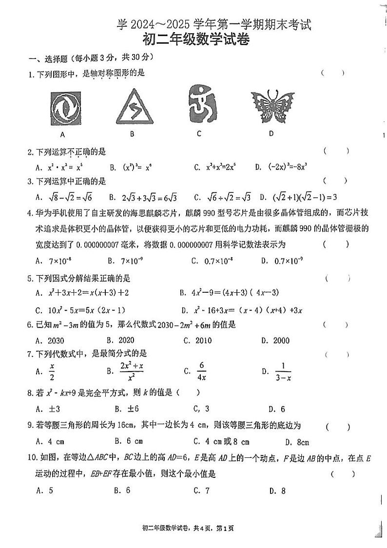 甘肃省嘉峪关市实验中学2024-2025学年八年级上学期1月期末数学试题第1页