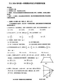 2025年上海市宝山区初三数学一模试卷