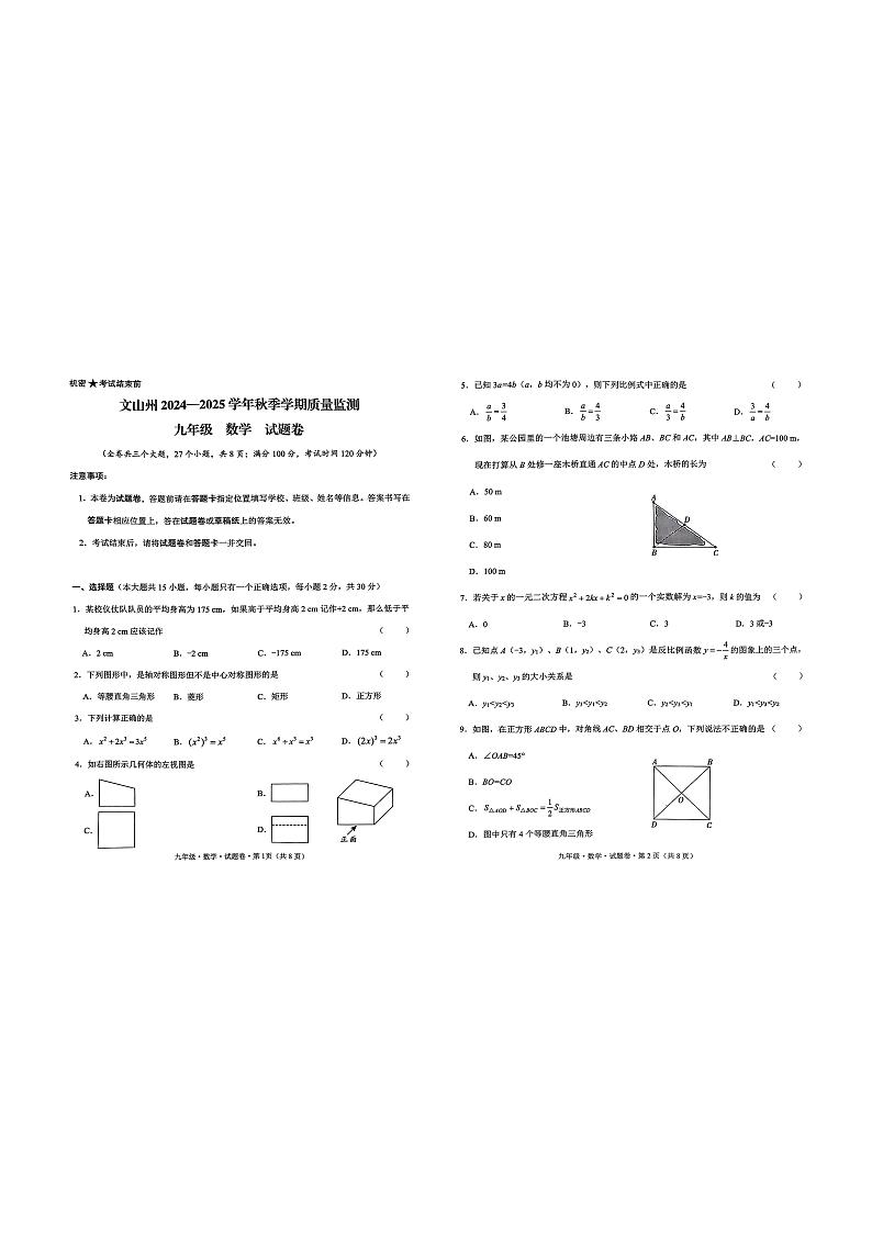 云南省文山市2024-2025学年上学期九年级数学学业水平质量检测试题第1页