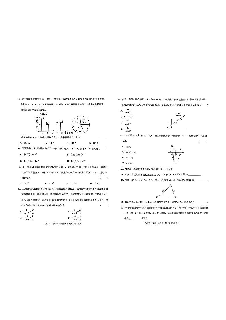 云南省文山市2024-2025学年上学期九年级数学学业水平质量检测试题第2页