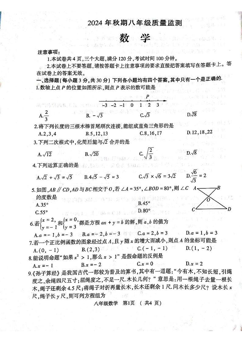 河南省驻马店市驿城区2024--2025学年八年级上学期数学期末试题第1页